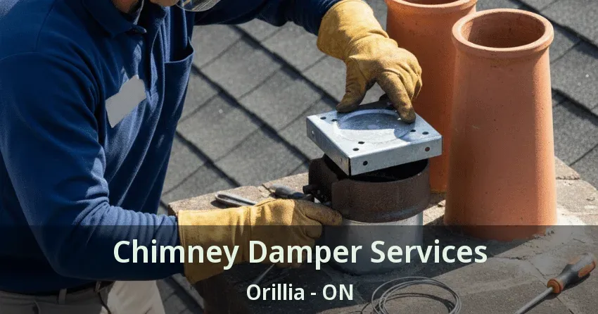 Chimney Damper Services Orillia - ON