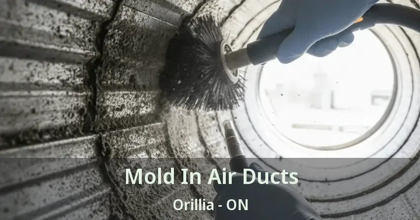 Mold In Air Ducts Orillia - ON